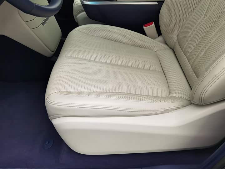 Фото 20 - Buick GL8 Century