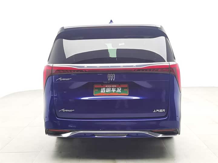 Фото 4 - Buick GL8 Century