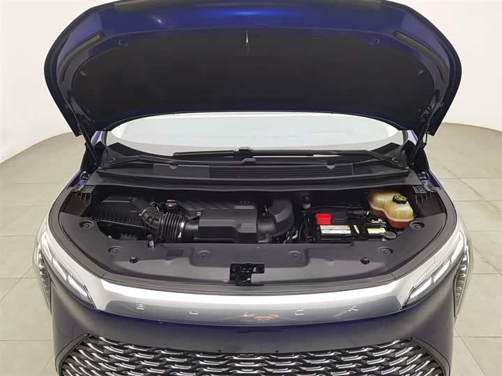 Фото 6 - Buick GL8 Century