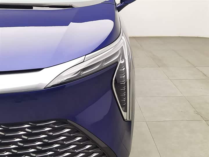 Фото 7 - Buick GL8 Century