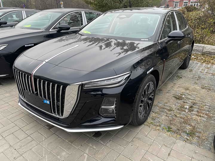 Фото 1 - Hongqi H5