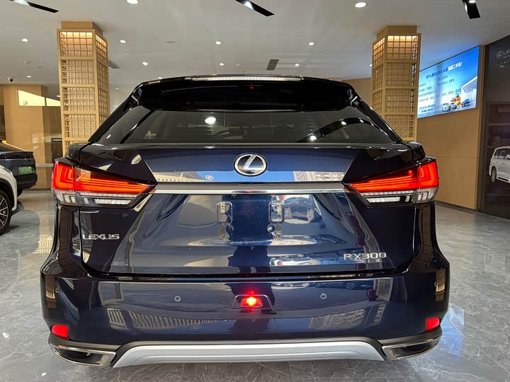 Фото 5 - Lexus RX