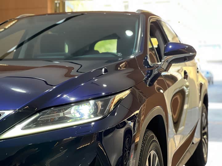 Фото 7 - Lexus RX