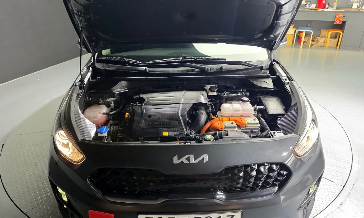 Фото 6 - Kia Niro