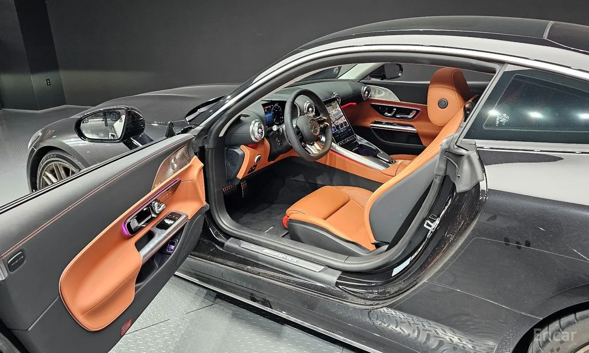 Фото 11 - Mercedes-Benz AMG GT