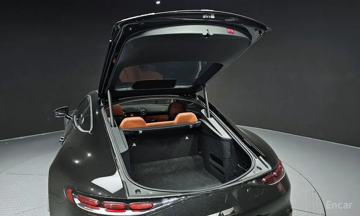 Фото 20 - Mercedes-Benz AMG GT