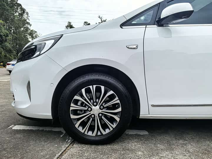 Фото 4 - Buick GL8 ES