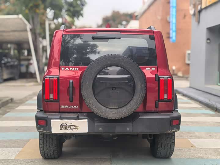 Фото 5 - Tank 300