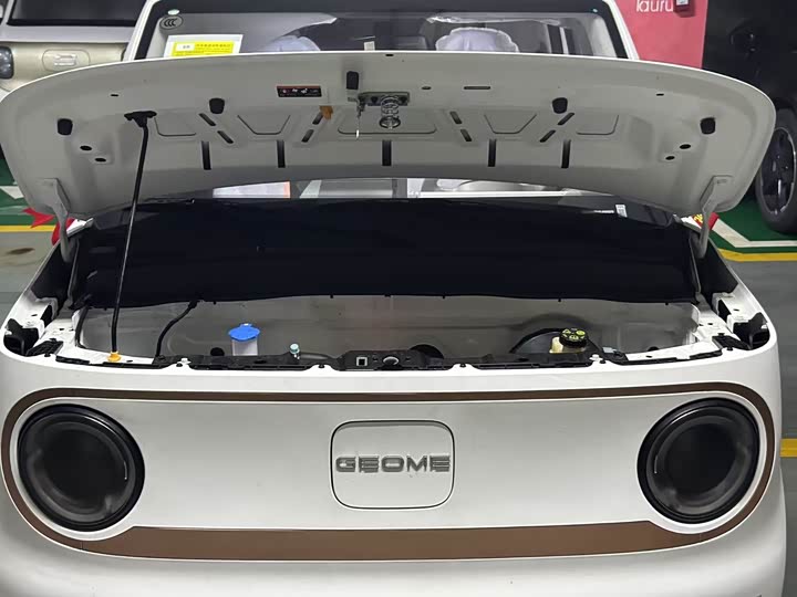 Фото 16 - Geely Galaxy Panda Mini