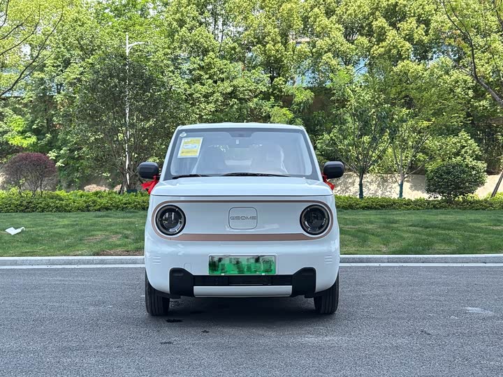 Фото 2 - Geely Galaxy Panda Mini