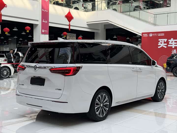 Фото 18 - Buick GL8 ES