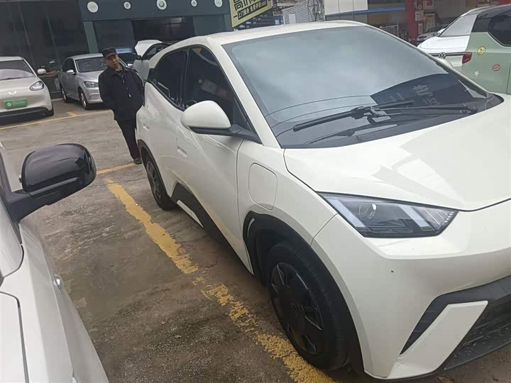 Фото 4 - BYD Seagull