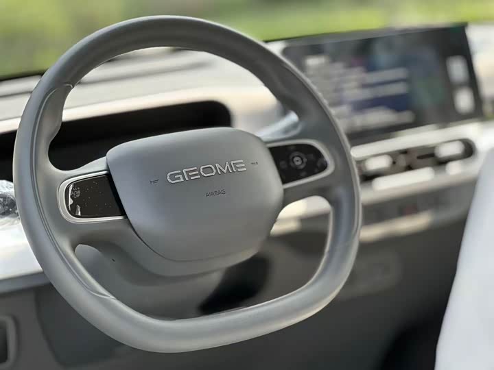 Фото 14 - Geely Galaxy Panda Mini