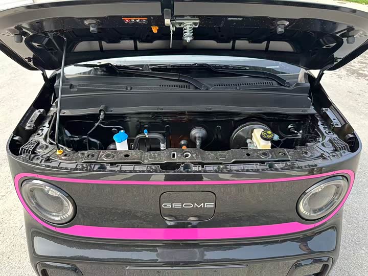 Фото 19 - Geely Galaxy Panda Mini