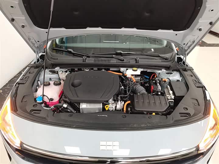 Фото 20 - Geely Galaxy L6