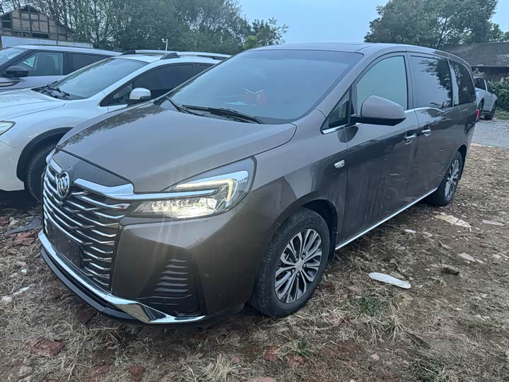 Фото 1 - Buick GL8 ES