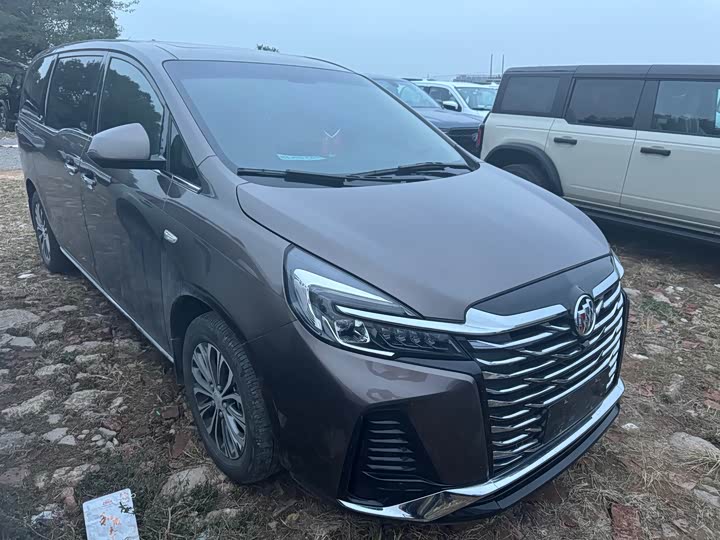 Фото 11 - Buick GL8 ES