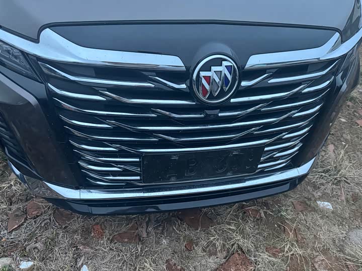 Фото 14 - Buick GL8 ES