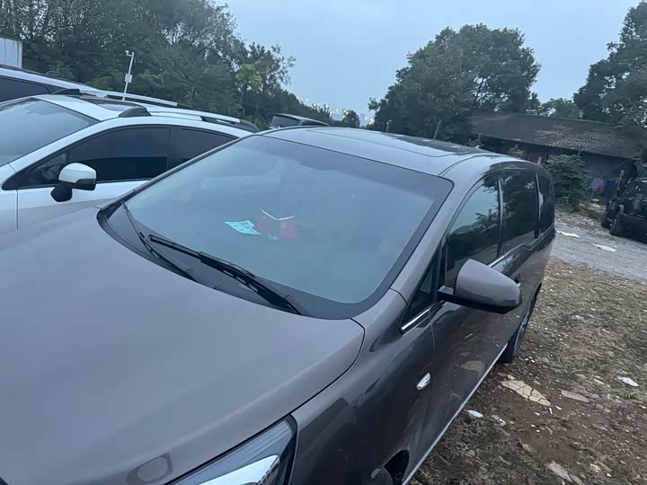 Фото 15 - Buick GL8 ES