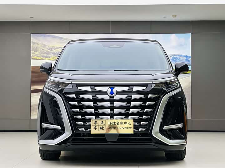 Фото 1 - Denza D9