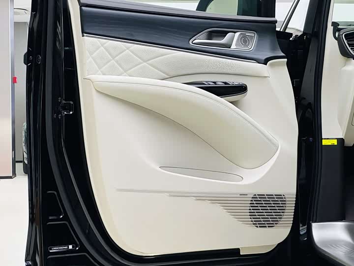 Фото 11 - Denza D9