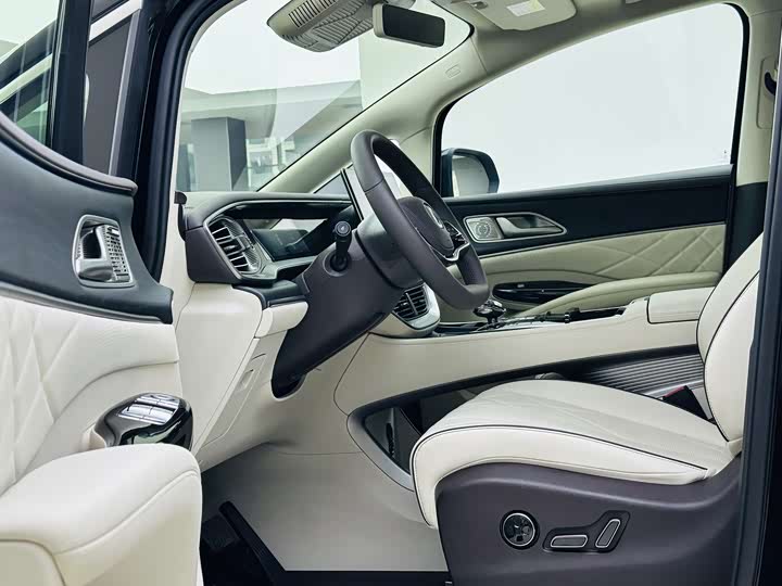 Фото 12 - Denza D9