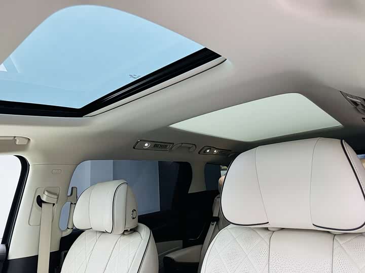 Фото 16 - Denza D9