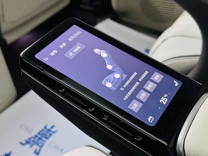 Фото 19 - Denza D9