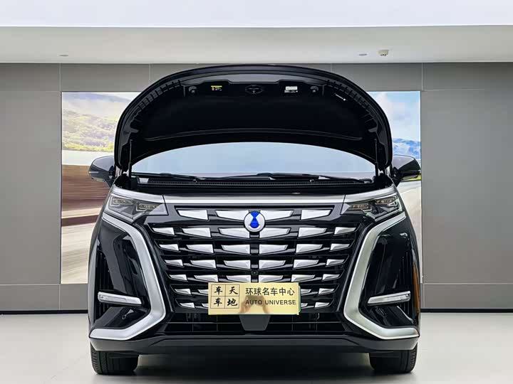 Фото 2 - Denza D9