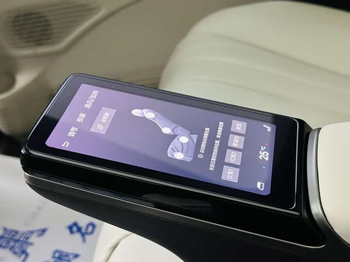 Фото 20 - Denza D9