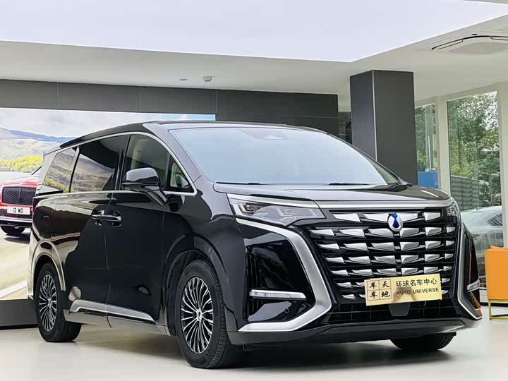 Фото 3 - Denza D9