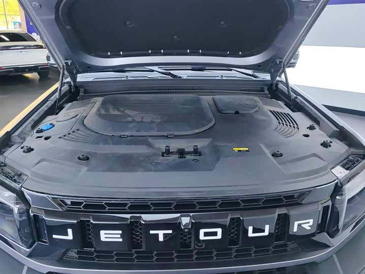 Фото 10 - Jetour T2