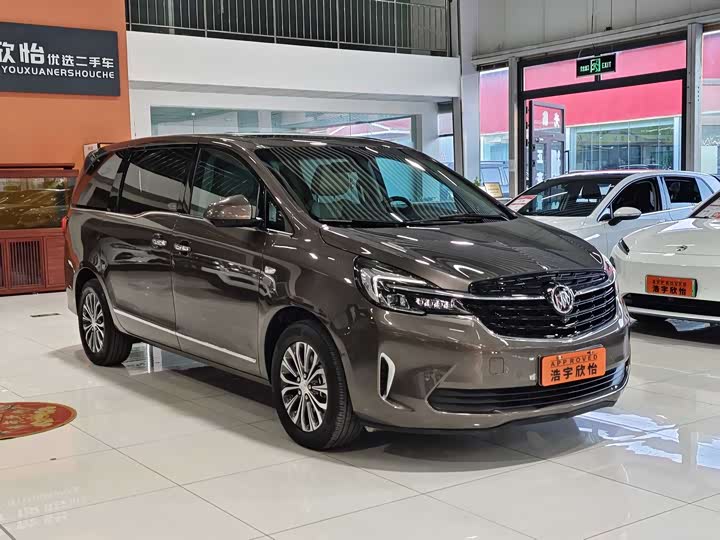 Фото 3 - Buick GL8 ES