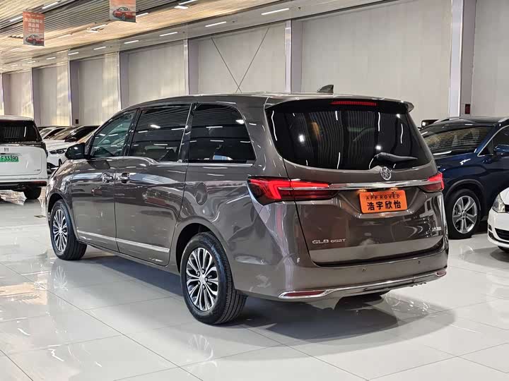 Фото 4 - Buick GL8 ES