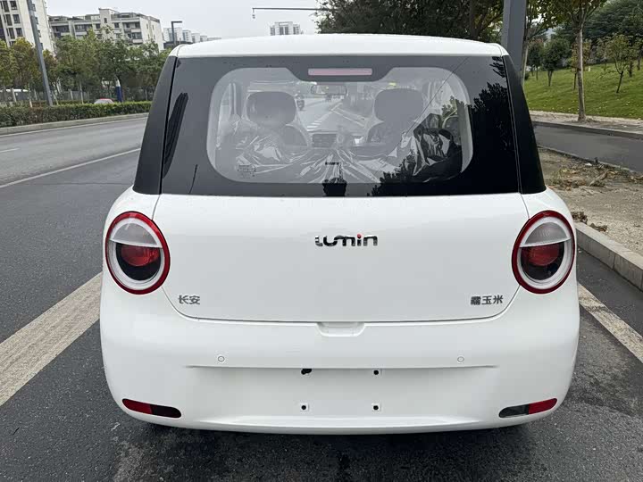 Фото 3 - Changan Qiyuan (Nevo) Lumin