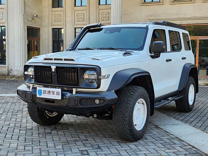 Фото 1 - Tank 300