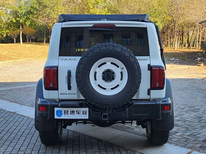 Фото 13 - Tank 300