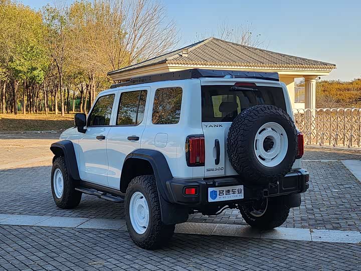 Фото 15 - Tank 300