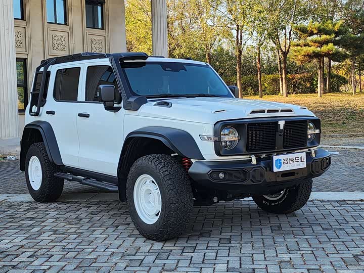 Фото 3 - Tank 300