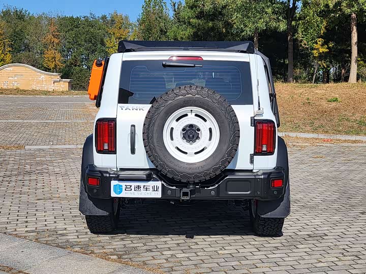 Фото 13 - Tank 300