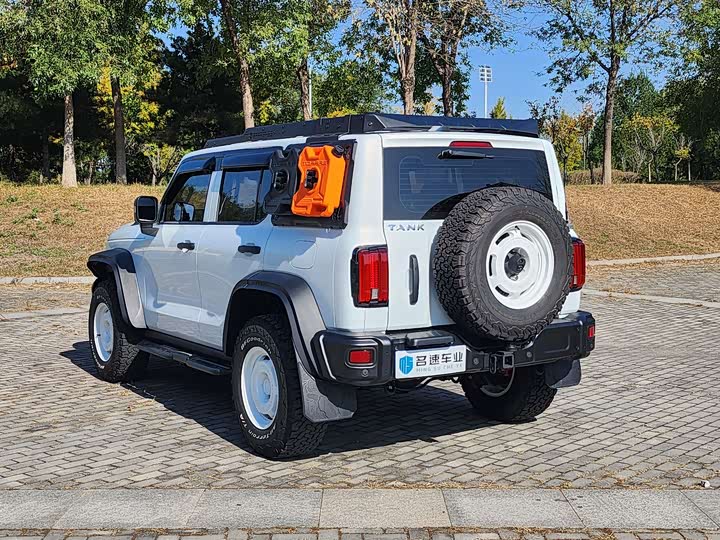 Фото 15 - Tank 300