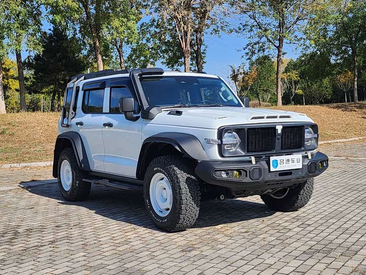 Фото 3 - Tank 300