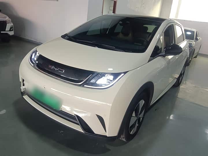 Фото 1 - BYD Dolphin