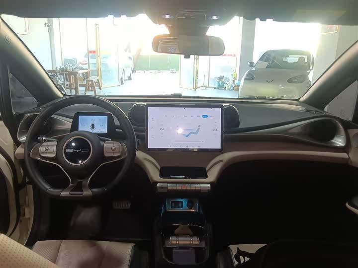 Фото 10 - BYD Dolphin