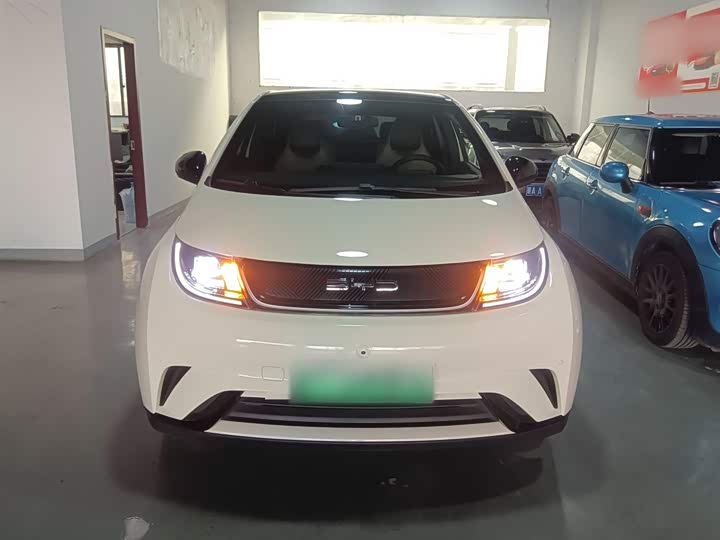 Фото 3 - BYD Dolphin