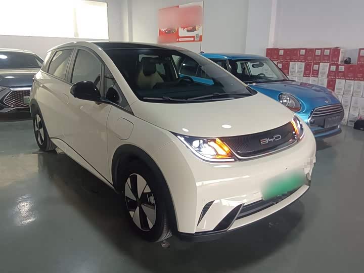 Фото 4 - BYD Dolphin