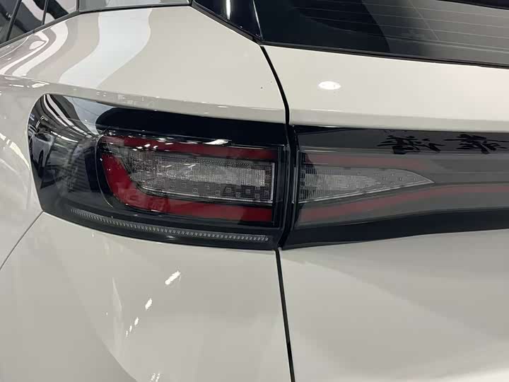 Фото 14 - Volkswagen ID.4 X