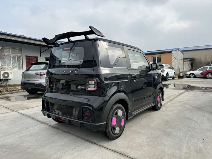 Фото 11 - Geely Galaxy Panda Mini