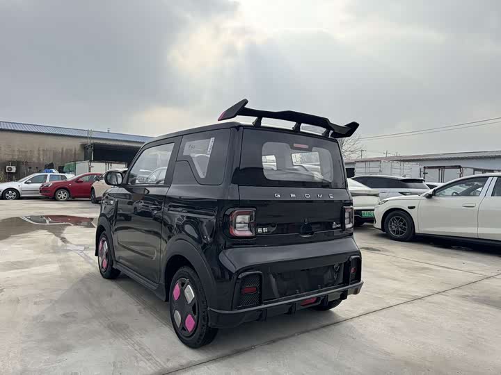 Фото 12 - Geely Galaxy Panda Mini