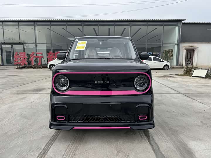 Фото 2 - Geely Galaxy Panda Mini